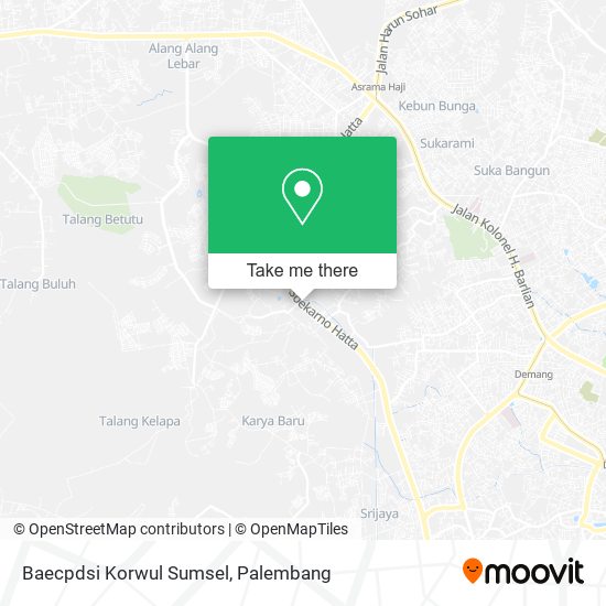 Baecpdsi Korwul Sumsel map