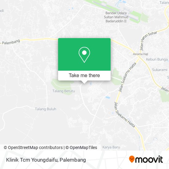 Klinik Tcm Youngdaifu map