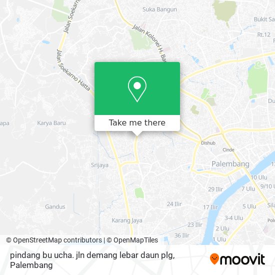 pindang bu ucha. jln demang lebar daun plg map
