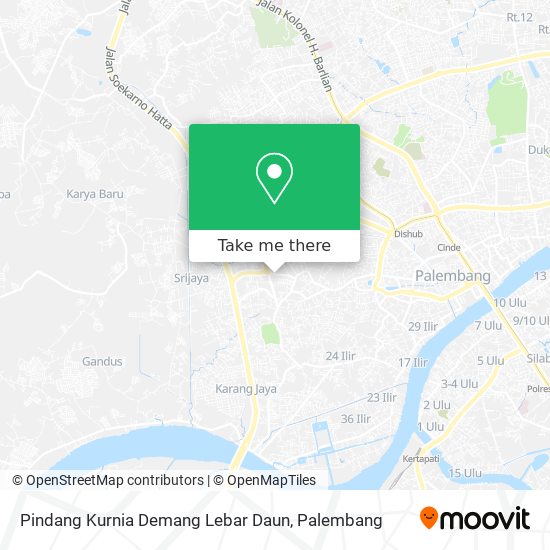 Pindang Kurnia Demang Lebar Daun map