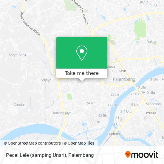 Pecel Lele (samping Unsri) map
