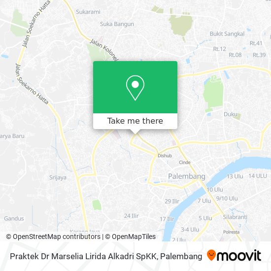 Praktek Dr Marselia Lirida Alkadri SpKK map