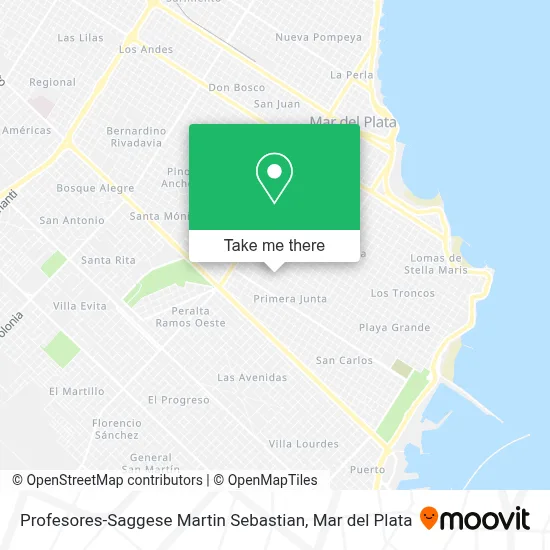 Profesores-Saggese Martin Sebastian map