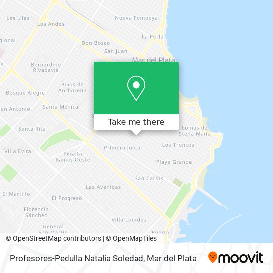 Profesores-Pedulla Natalia Soledad map