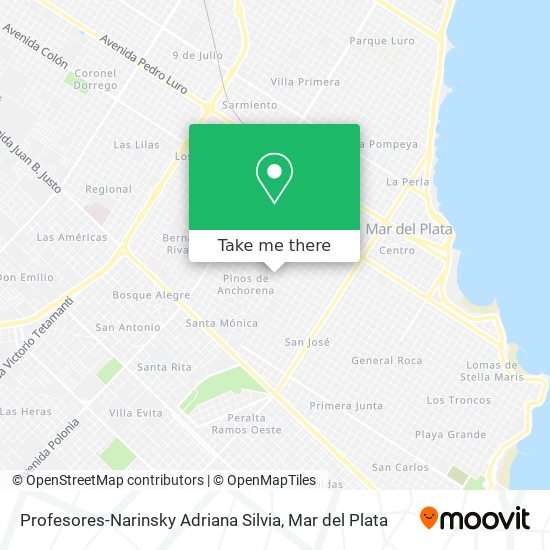 Profesores-Narinsky Adriana Silvia map
