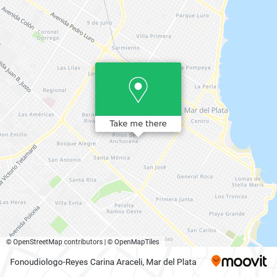 Fonoudiologo-Reyes Carina Araceli map