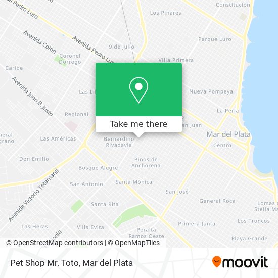 Pet Shop Mr. Toto map