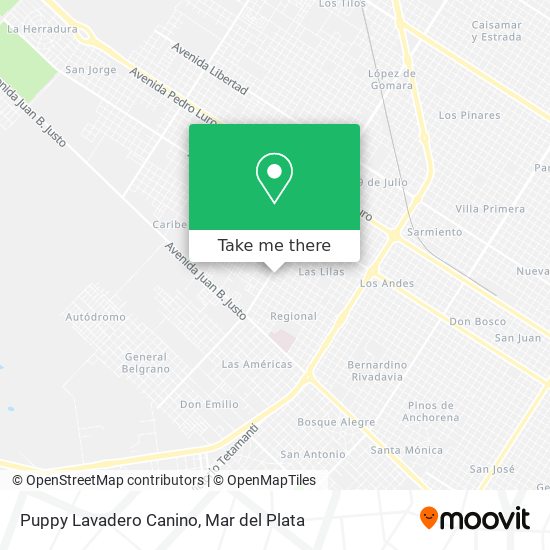 Puppy Lavadero Canino map