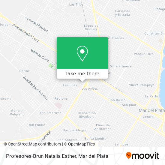 Profesores-Brun Natalia Esther map