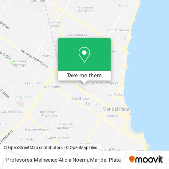 Profesores-Melneciuc Alicia Noemi map