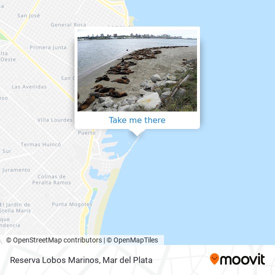 How to get to Reserva Lobos Marinos in Mar del Plata by Bus?