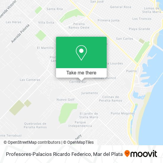 Mapa de Profesores-Palacios Ricardo Federico