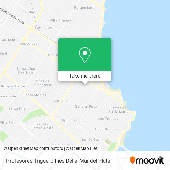 Profesores-Triguero Inés Delia map