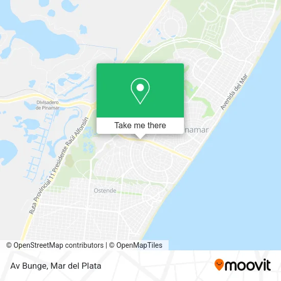 Av Bunge map