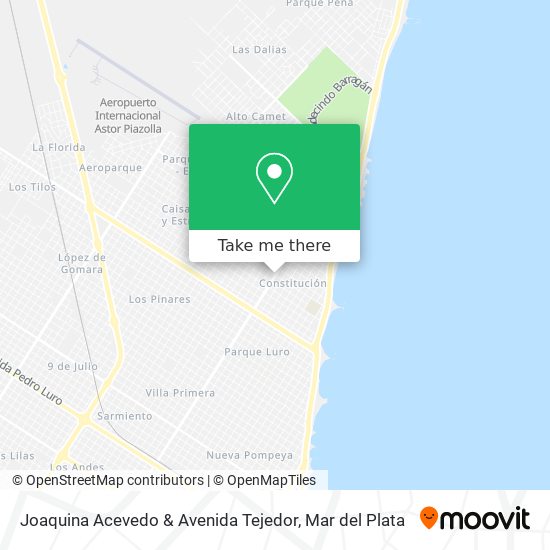 Joaquina Acevedo & Avenida Tejedor map