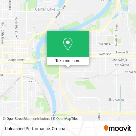 Unleashed Performance map