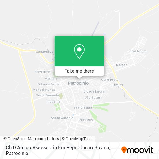 Ch D Amico Assessoria Em Reproducao Bovina map