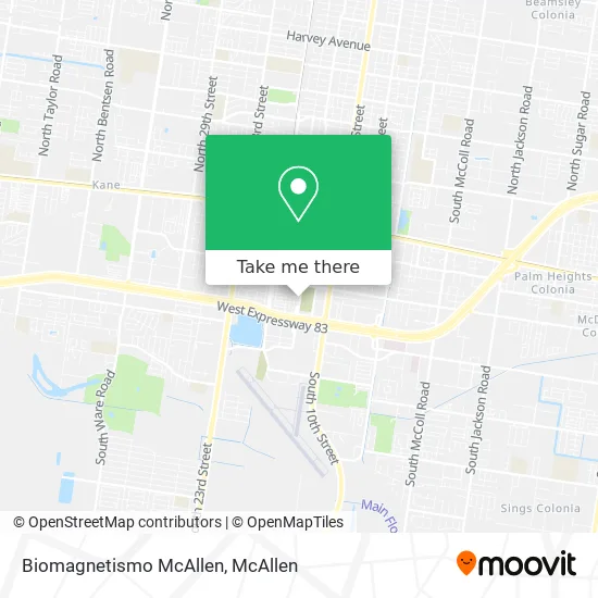 Biomagnetismo McAllen map