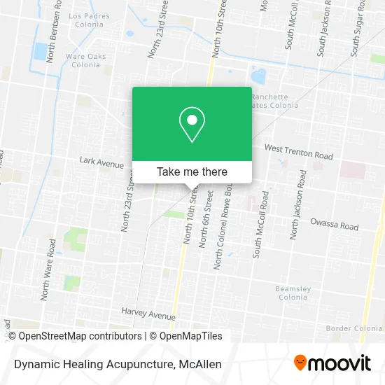 Dynamic Healing Acupuncture map