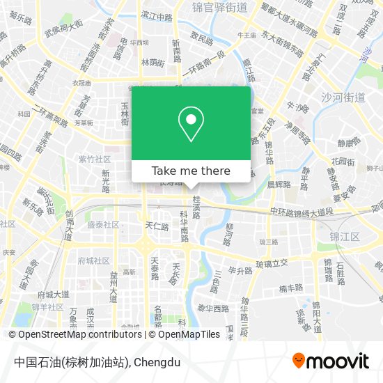中国石油(棕树加油站) map