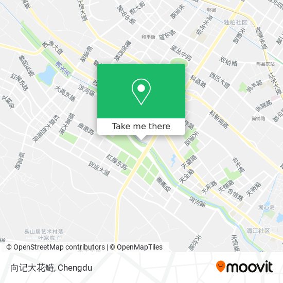 向记大花鲢 map