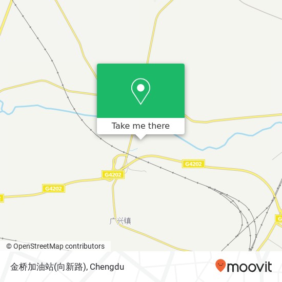金桥加油站(向新路) map
