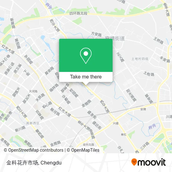 金科花卉市场 map