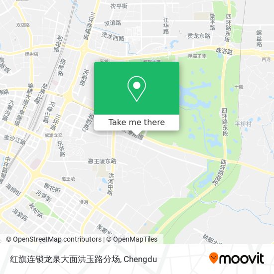 红旗连锁龙泉大面洪玉路分场 map