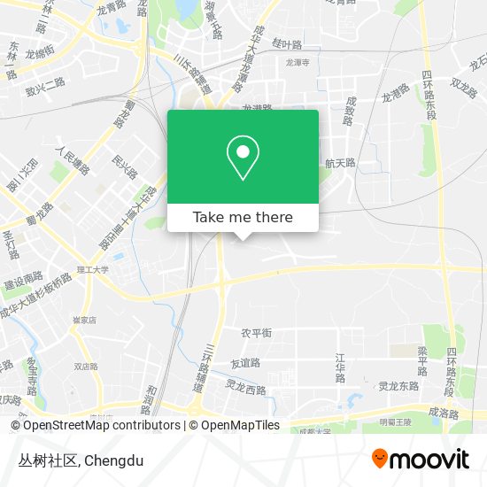 丛树社区 map