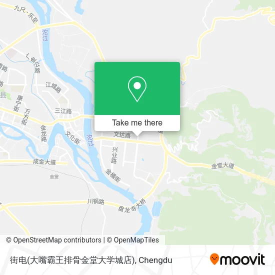 街电(大嘴霸王排骨金堂大学城店) map