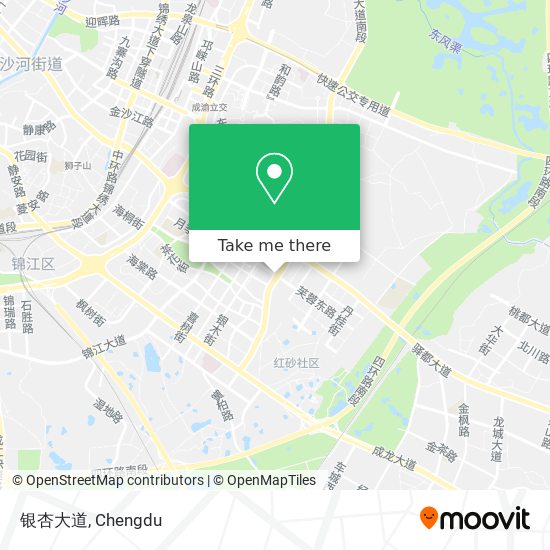 银杏大道 map