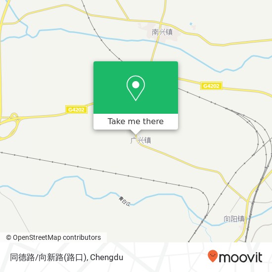 同德路/向新路(路口) map