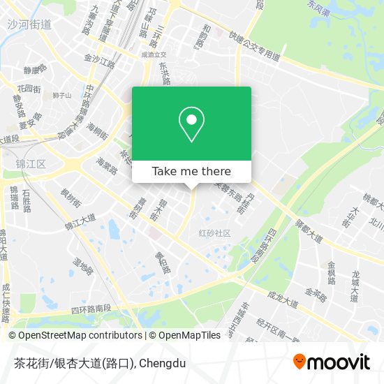 茶花街/银杏大道(路口) map