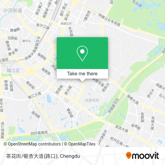 茶花街/银杏大道(路口) map