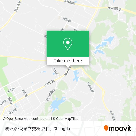 成环路/龙泉立交桥(路口) map