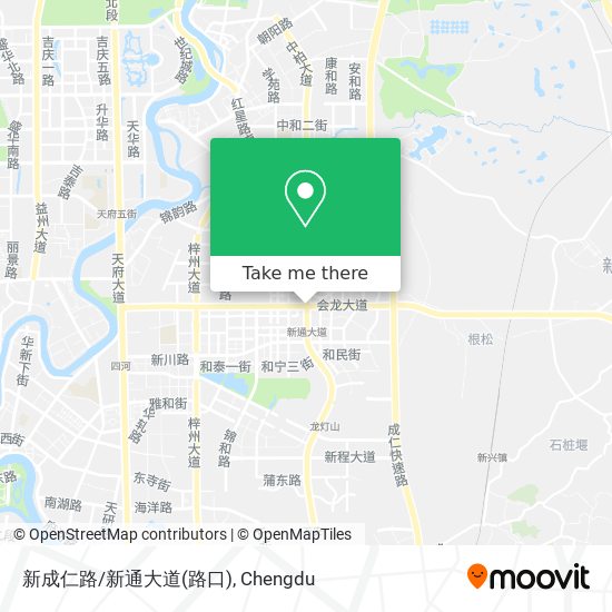 新成仁路/新通大道(路口) map