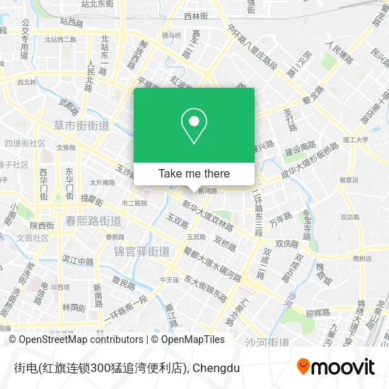 街电(红旗连锁300猛追湾便利店) map