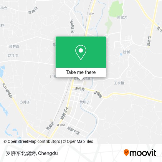 罗胖东北烧烤 map