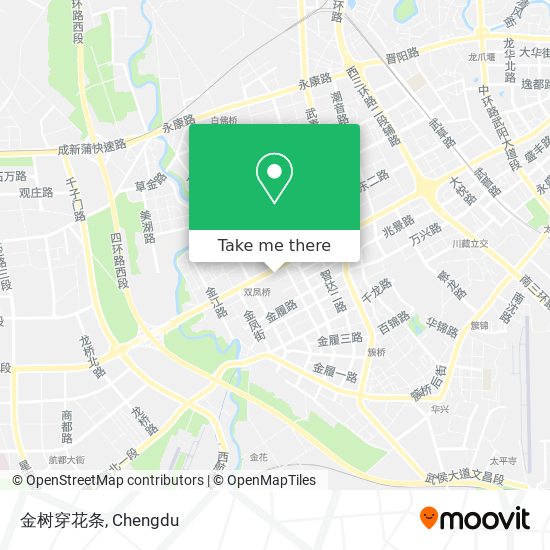 金树穿花条 map