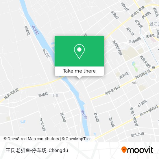 王氏老猫鱼-停车场 map