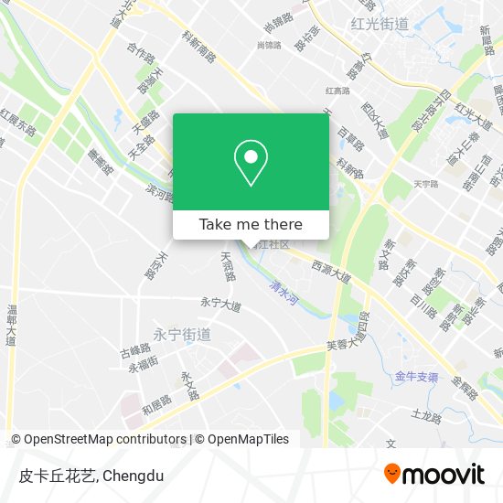 皮卡丘花艺 map