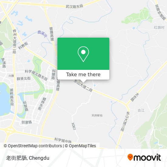 老街肥肠 map