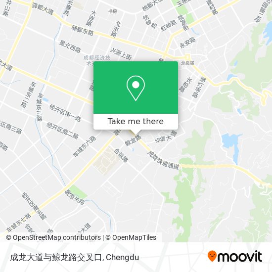 成龙大道与鲸龙路交叉口 map