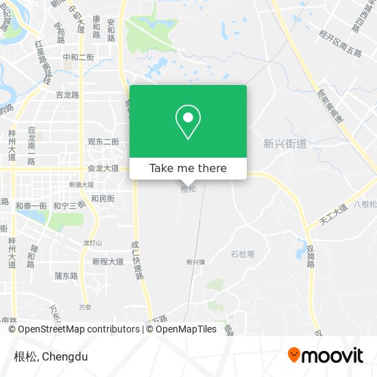 根松 map