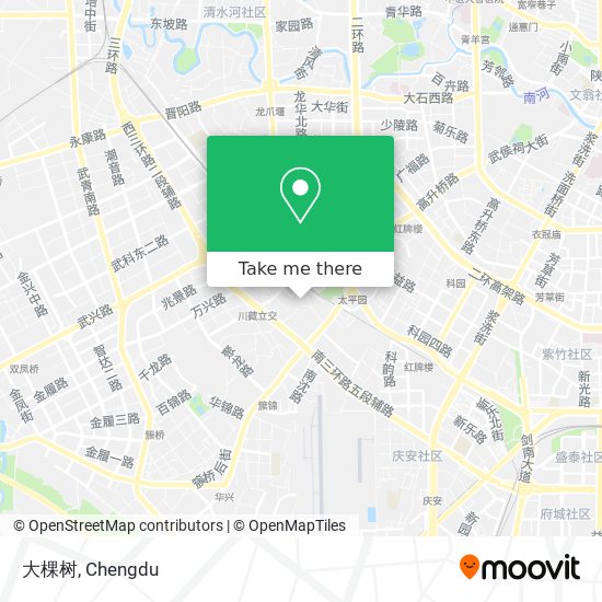 大棵树 map