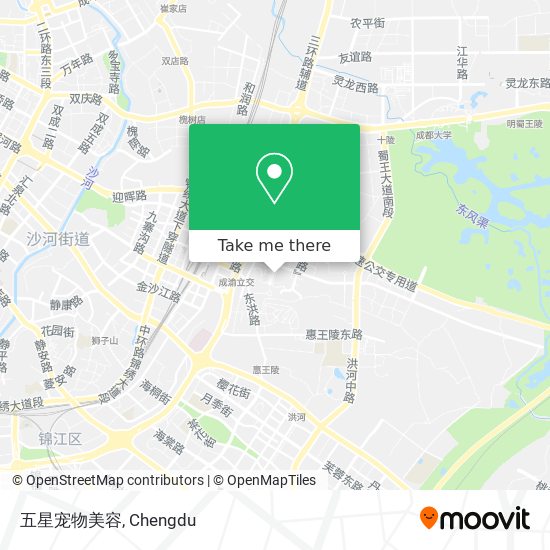 五星宠物美容 map