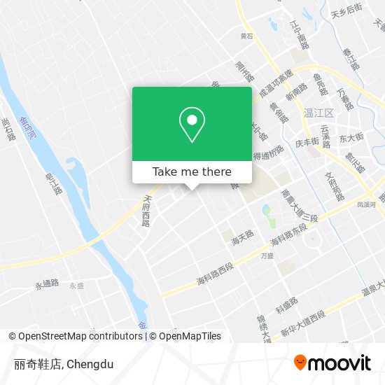 丽奇鞋店 map