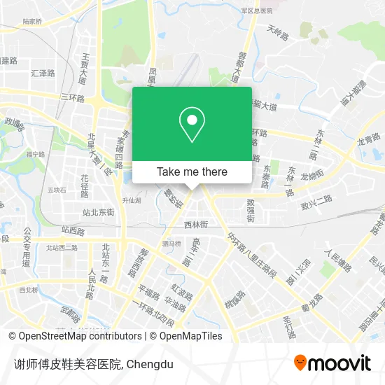 谢师傅皮鞋美容医院 map