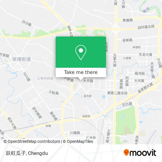 跃旺瓜子 map