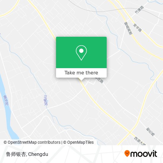鲁师银杏 map